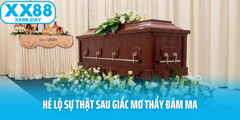 Giải Mã Giấc Mơ Thấy Đám Ma: Điềm Gở Hay Cơ Hội Thay Đổi? - spinbloom88