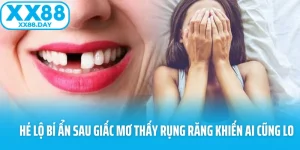 XX88 🎖️ Trang Chủ XX88.COM - Link Nhà Cái XX 88 darkweb Chính Chủ - spinbloom88